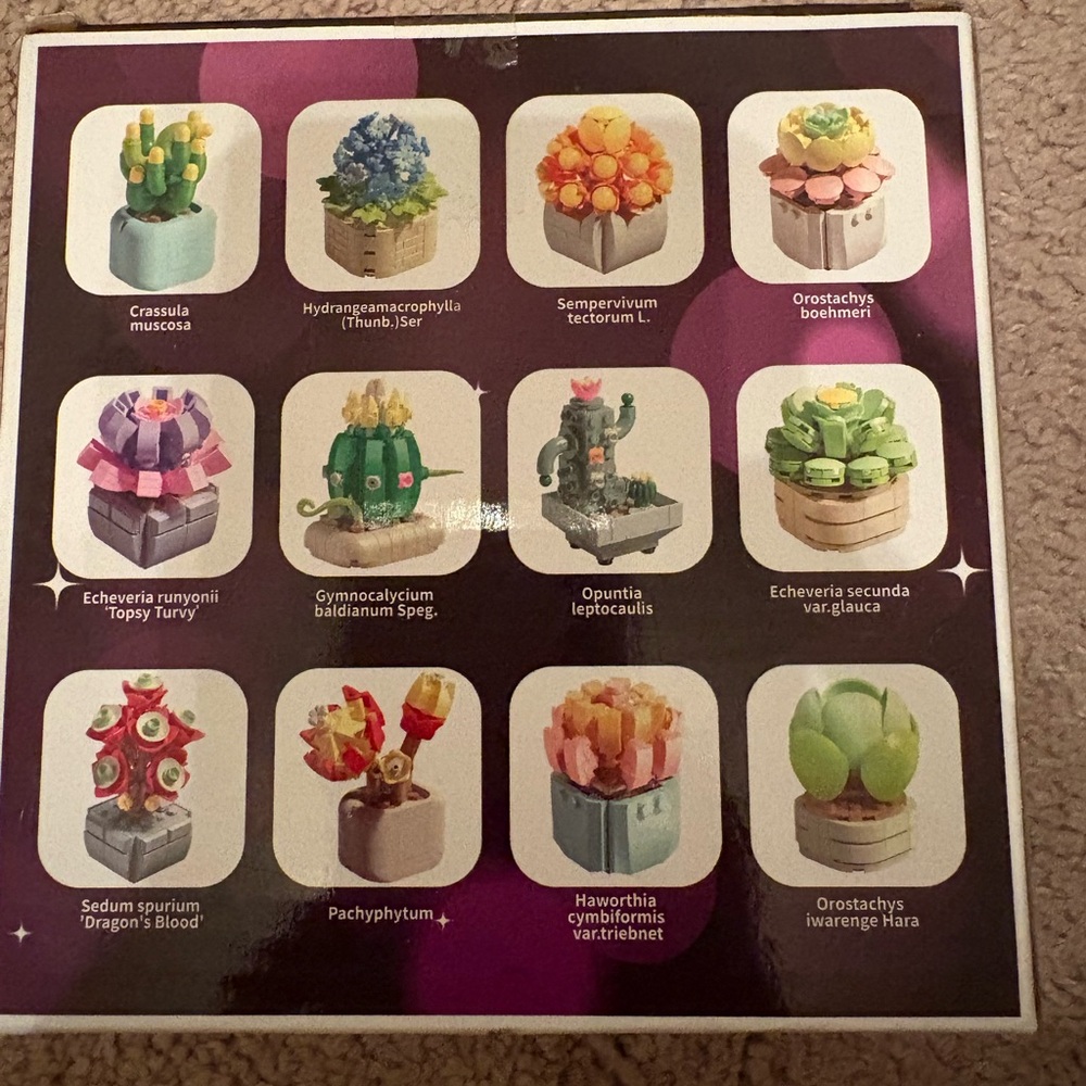 Building blocks succulents plants new in box - Picture 2 of 4